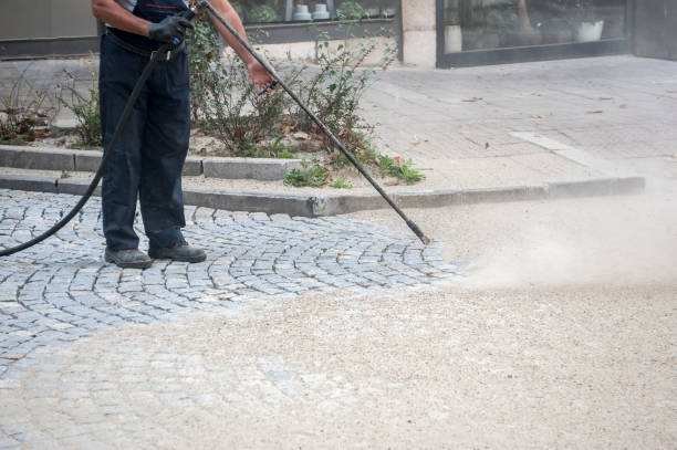 Best Sidewalk and Walkway Cleaning  in USA